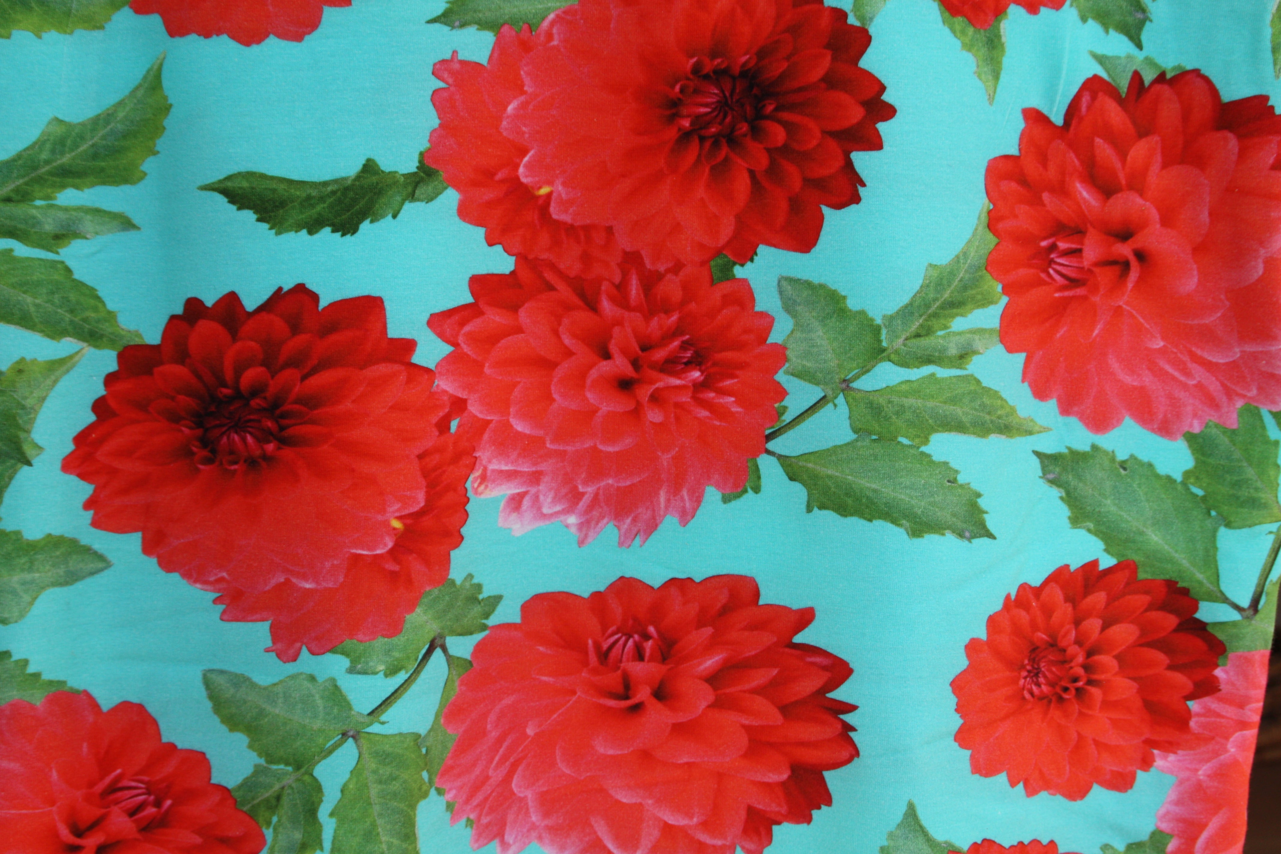 Fabric: "Raise more Hell and fewer Dahlias"